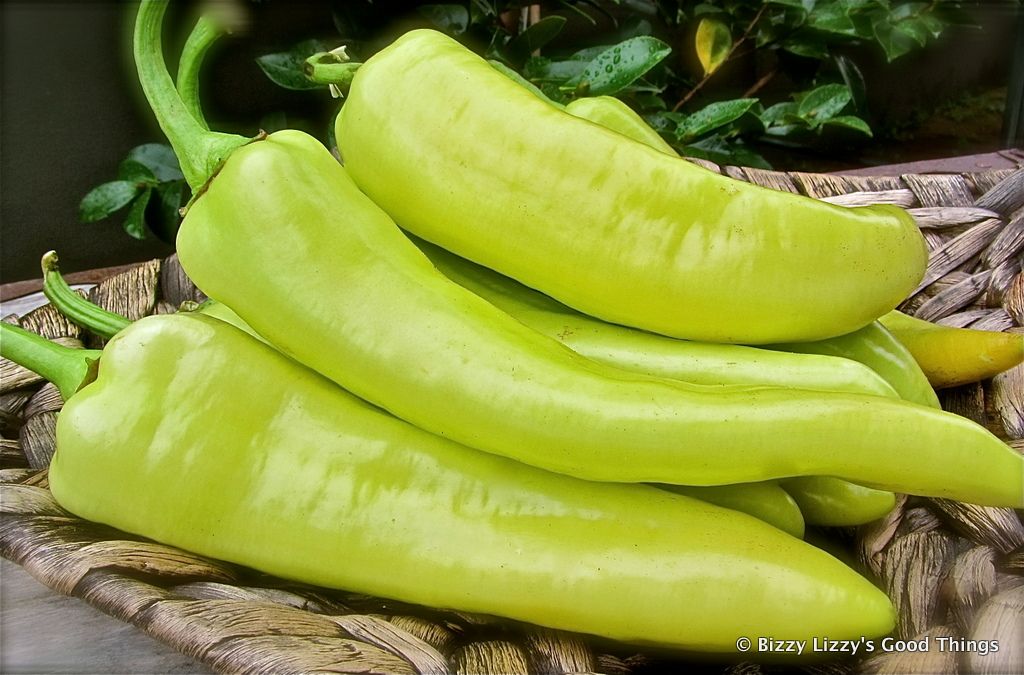 Fresh Green Chili Peper - Appx. 400g - salpers.ch