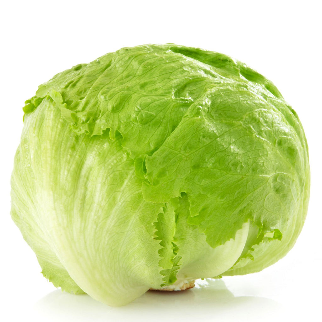 Fresh Lettuce, Iceberg - salpers.ch