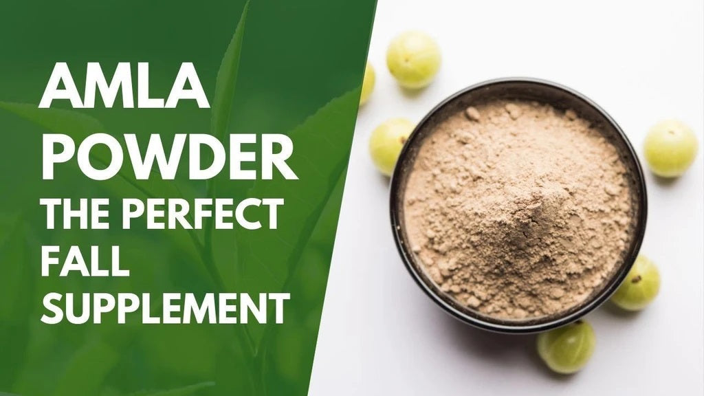 Fazal Amla Powder - 100g - salpers.ch