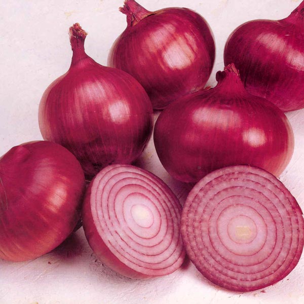 Red Onion - 500gm (appx) - salpers.ch