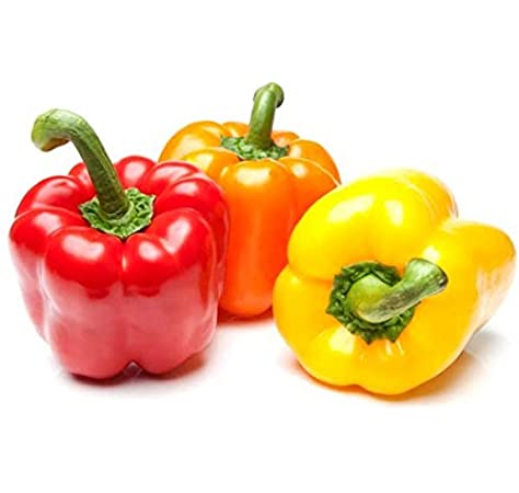 Capsicum mix Appx. 500gm - salpers.ch