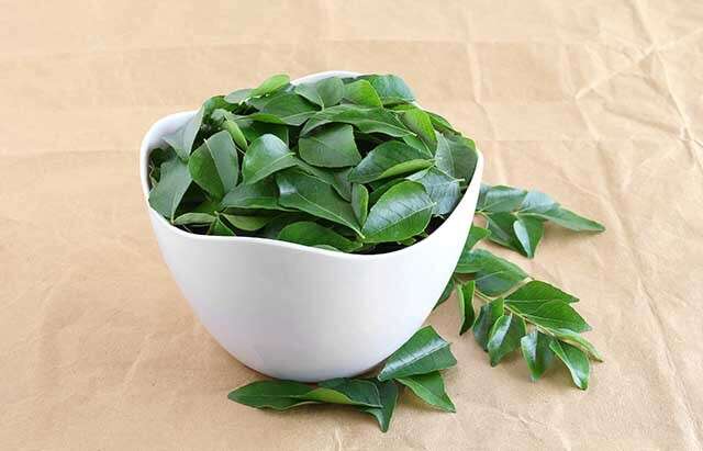 Fresh Curry Leaves - Appx. 40 -50g - salpers.ch