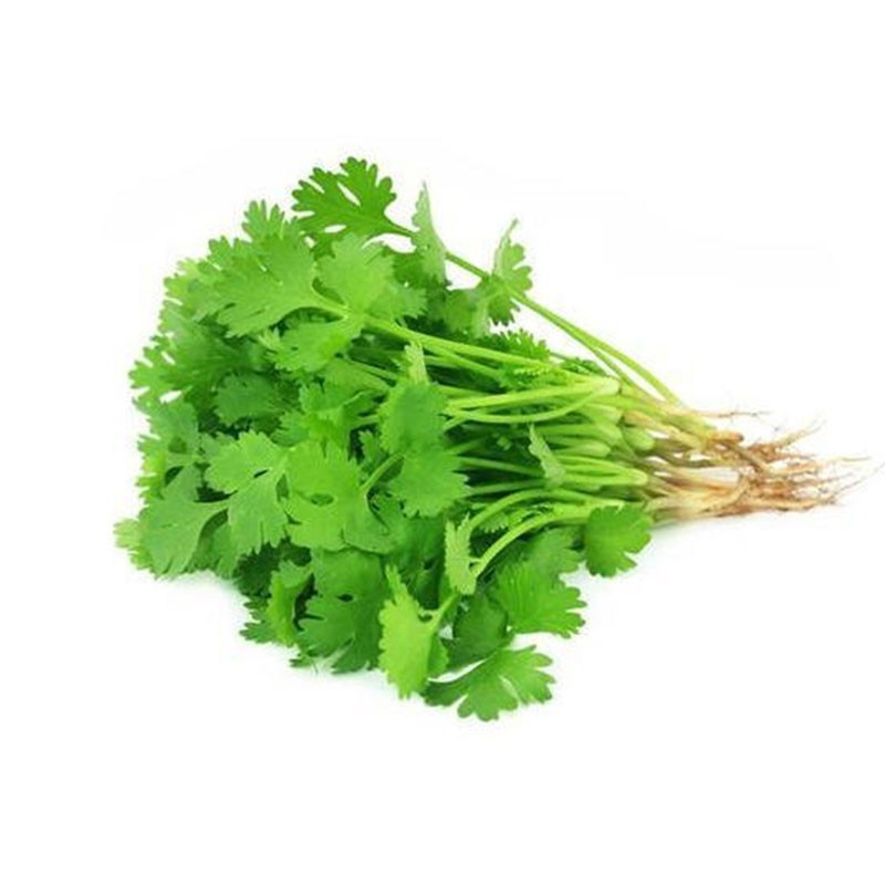 Coriander Leaves - 1 bunch / 100 gm(appx.) - salpers.ch