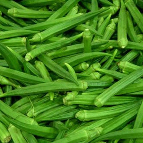 Okra - Lady Finger - Bhindi - Appx. 500g - salpers.ch