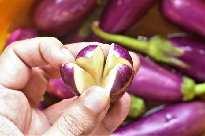 Long Brinjal 500gm - salpers.ch