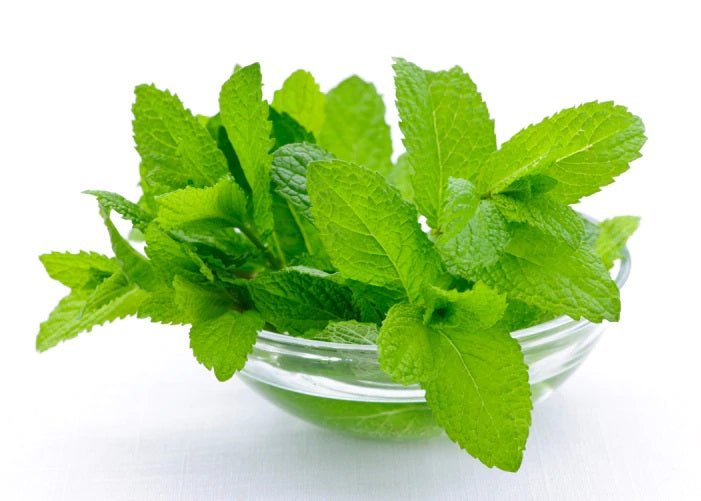 Mint Leaves - 1 bunch / 100 gm(appx.) - salpers.ch