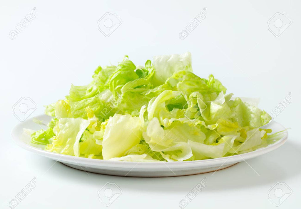 Fresh Lettuce, Iceberg - salpers.ch