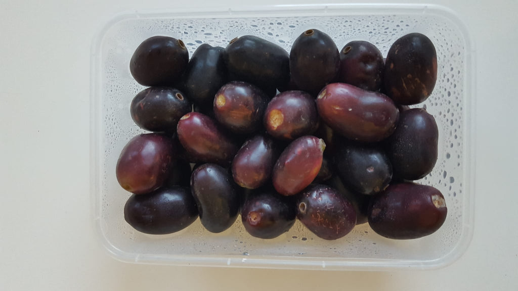 Fresh Jamun - Black Plum - appx. 400g - salpers.ch