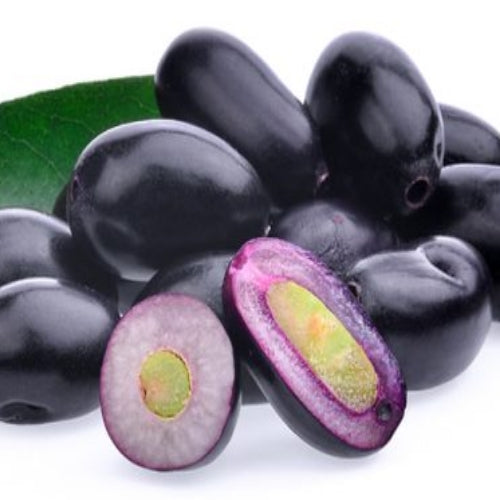 Fresh Jamun - Black Plum - appx. 400g - salpers.ch