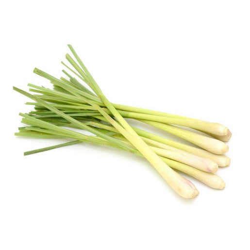 Fresh Lemon Grass - Appx 100g - salpers.ch